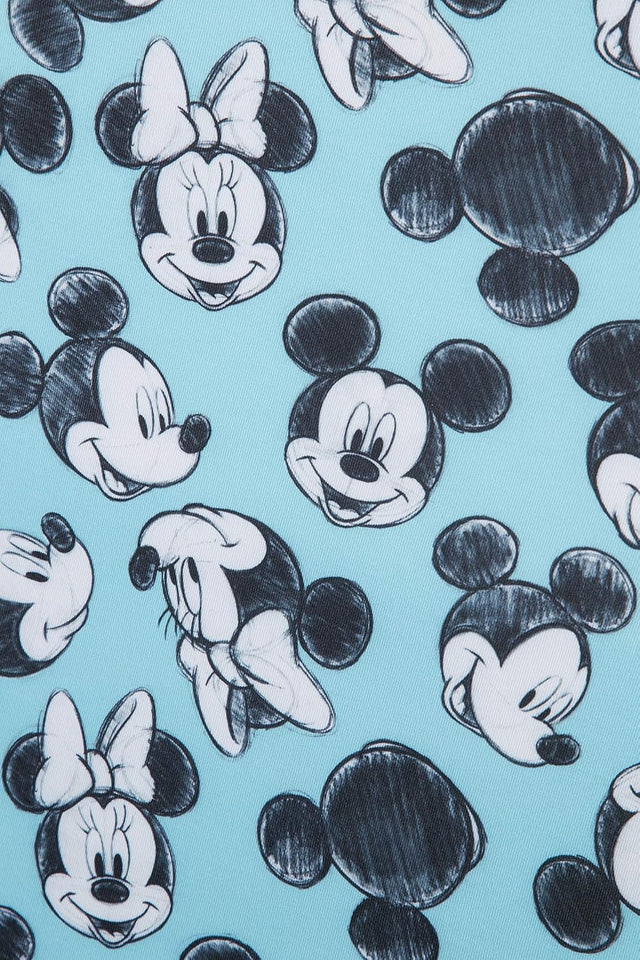 Samsonite Luggage Cover Disney